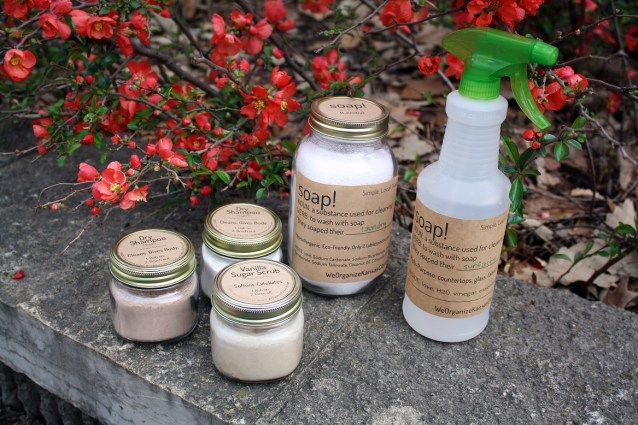 Organic Cleaning Products - Kansas City Professional Organizers - Soap Family - Smaller